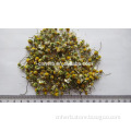 dried chamomile flower/herb tea /Matricaria Recutita